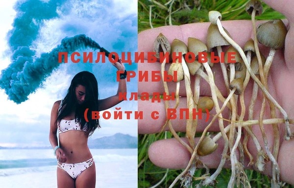 кокс Алексеевка
