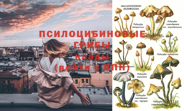 меф Алексин