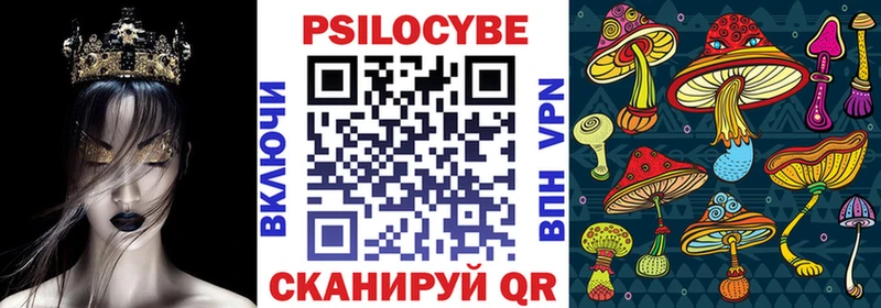 закладки Сасово Псилоцибиновые грибы GOLDEN TEACHER